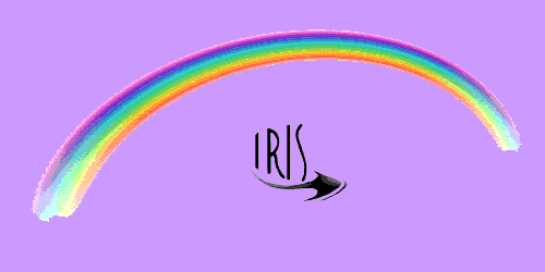 iris-solutions.org - language solutions
